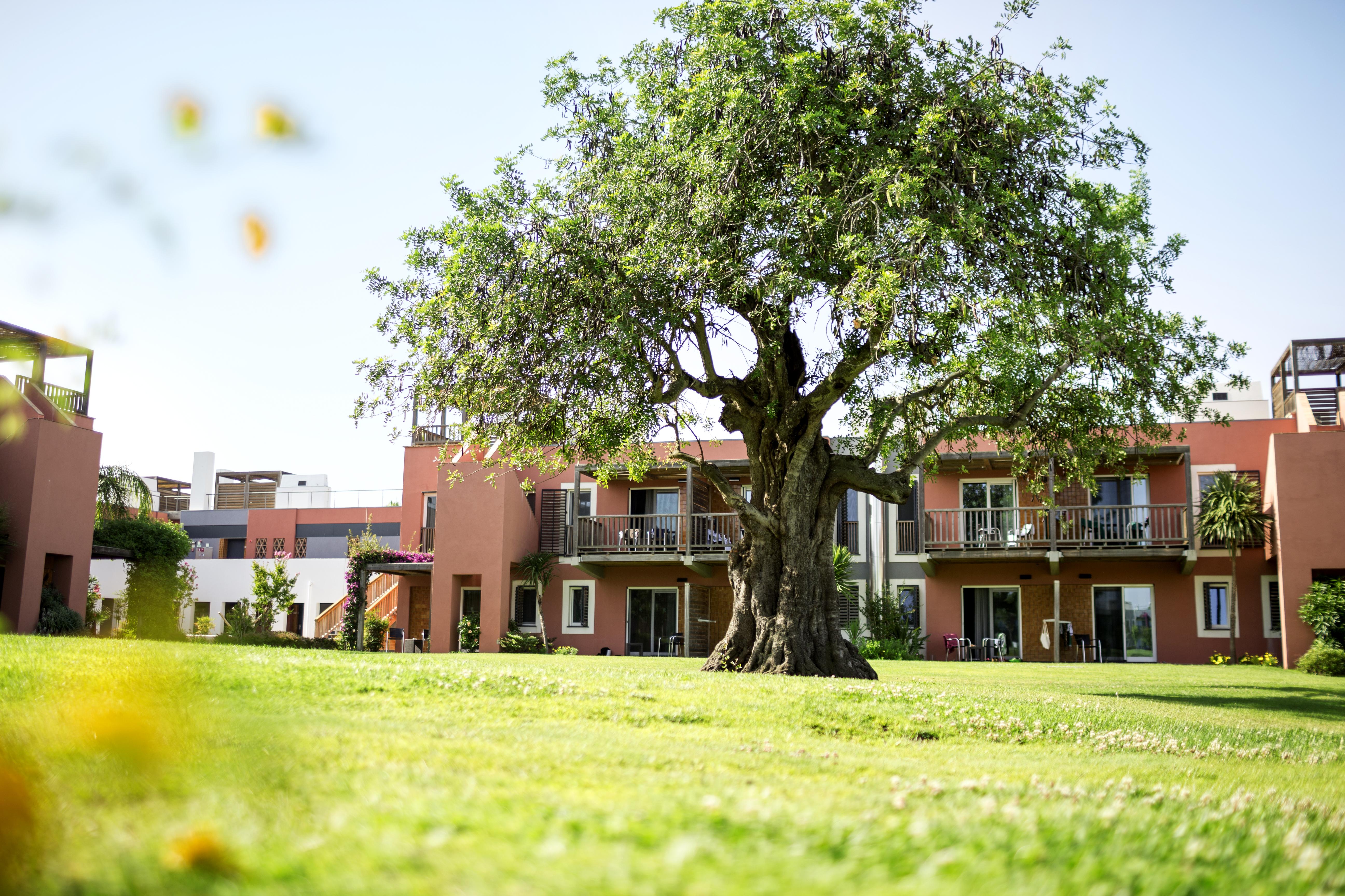 Robinson Quinta Da Ria Otel Vila Nova de Cacela Dış mekan fotoğraf